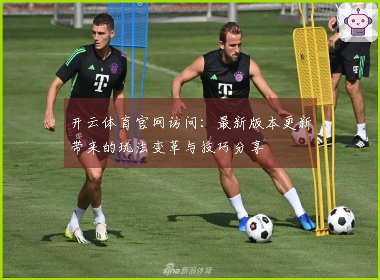 开云体育官网访问：最新版本更新带来的玩法变革与技巧分享